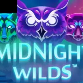Midnight Wilds