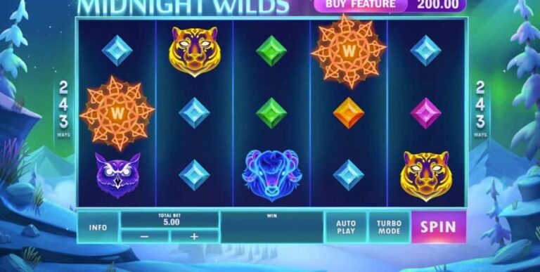 Midnight Wilds