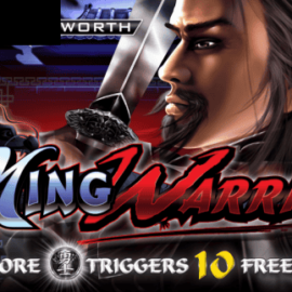 Ming Warrior
