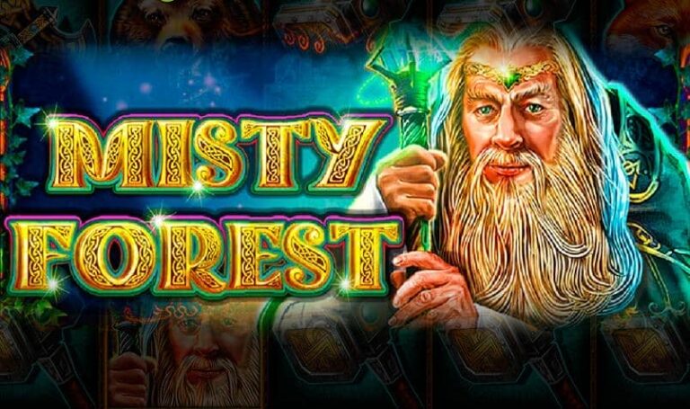 Misty Forest