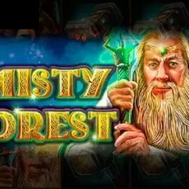 Misty Forest