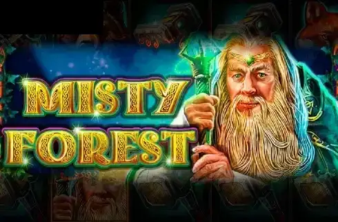 Misty Forest