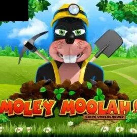 Moley Moolah