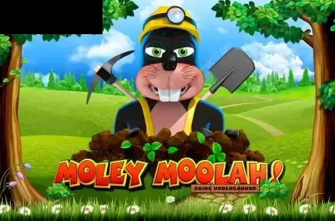 Moley Moolah