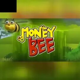 Money Bee