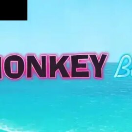 Monkey Bar