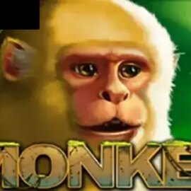 Monkey (PlayStar)