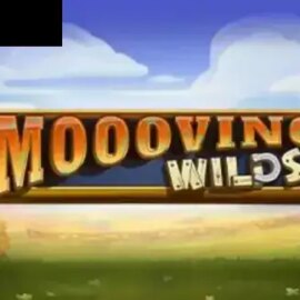 Moooving Wilds