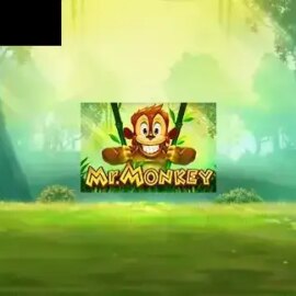 Mr. Monkey