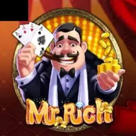Mr Rich