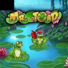 Mr Toad