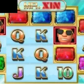 Mr Xin