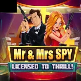 Mr and Mrs Spy