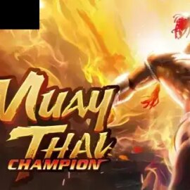 Muay Thai Champion