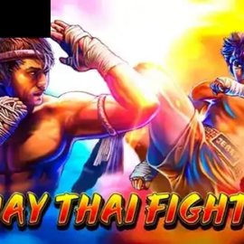 Muay Thai Fight