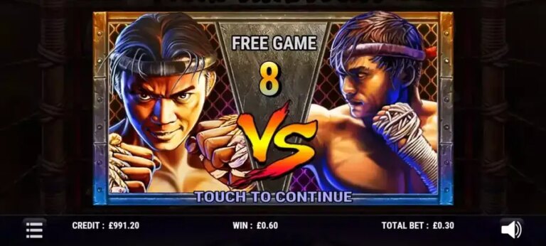 Muay Thai Fight