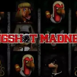 Mugshot Madness