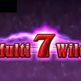 Multi 7 Wild