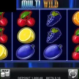 Multi Wild