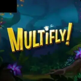 MultiFly