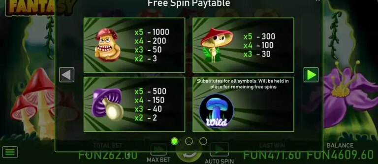 Mashroom Fantasy
