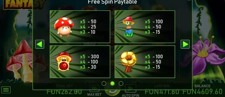 Mashroom Fantasy