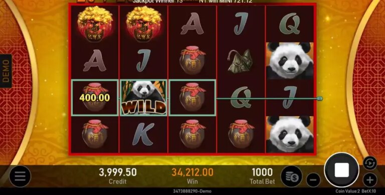 Mystery Panda