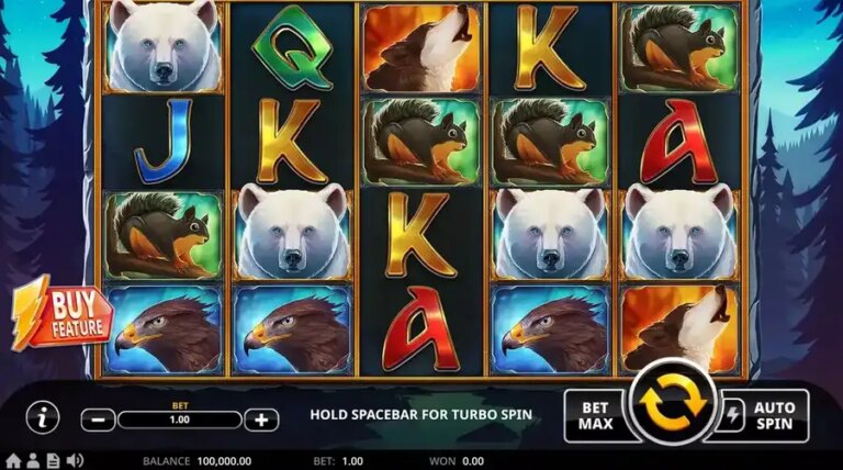 Mystic Bear XtraHold