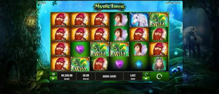 Mystic Forest (Playreels)