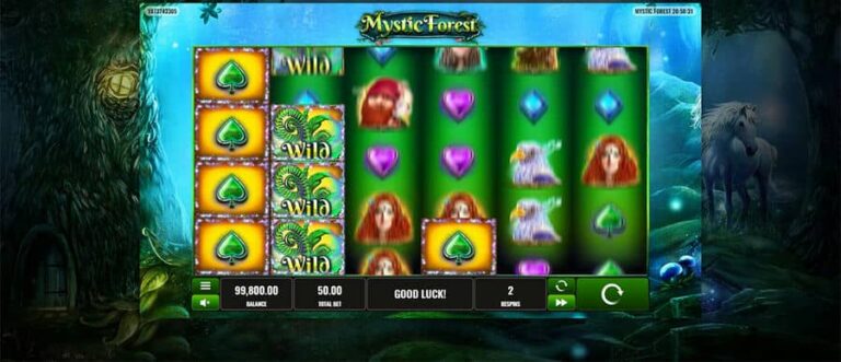 Mystic Forest (Playreels)