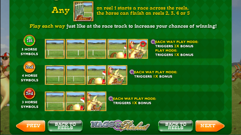 Nags to Riches