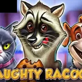 Naughty Racoon
