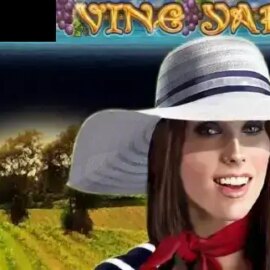 Nice Vineyard