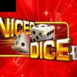 Nicer Dice 100