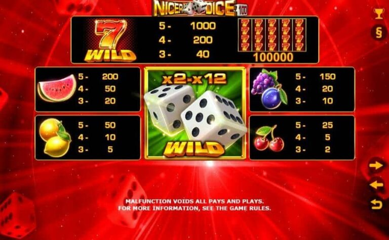 Nicer Dice 100