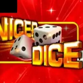 Nicer Dice 40