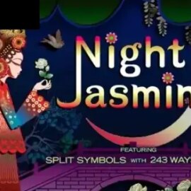 Night Jasmine