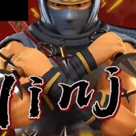 Ninja