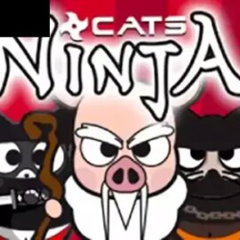 Ninja Cats