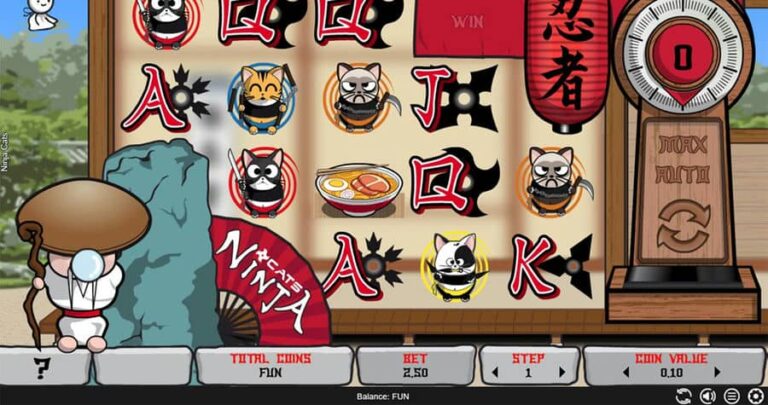 Ninja Cats