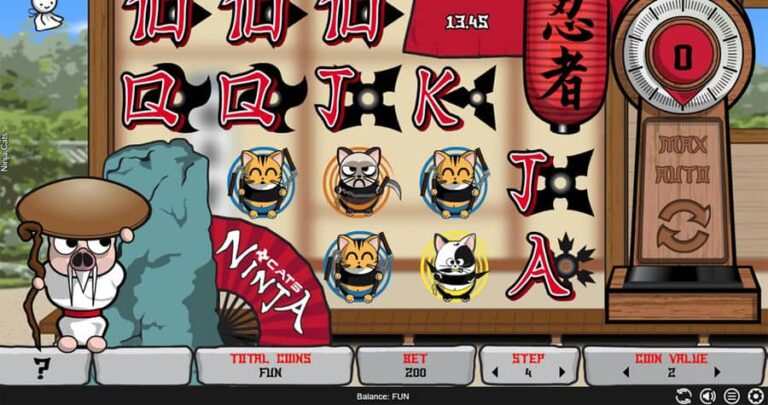 Ninja Cats