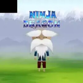 Ninja Dragon