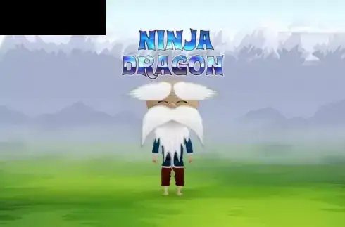 Ninja Dragon