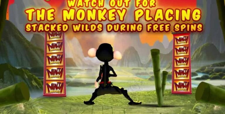 Ninja Monkey