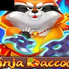 Ninja Raccoon