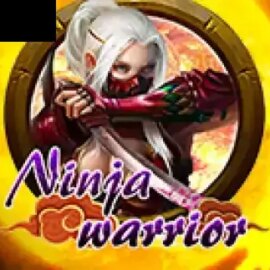 Ninja (Virtual Tech)