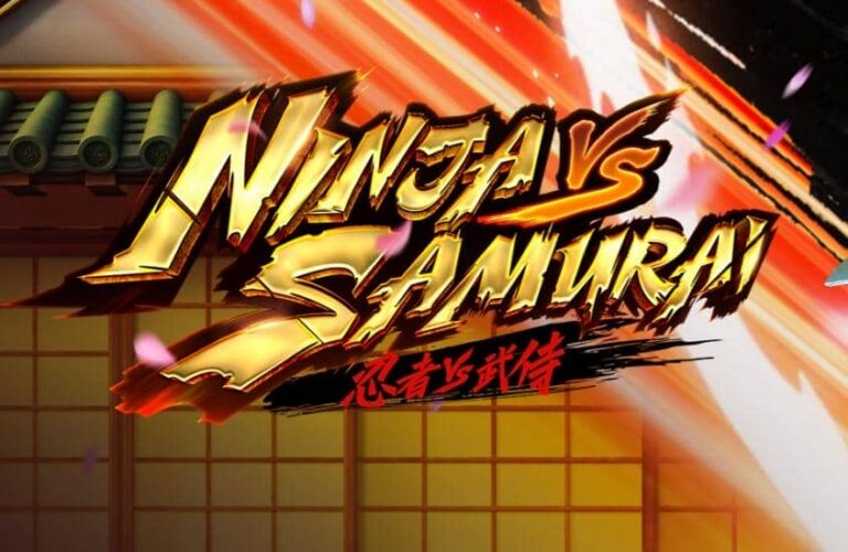 Ninja vs Samurai