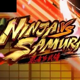 Ninja vs Samurai
