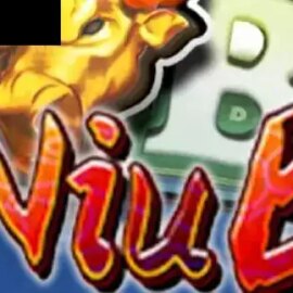 Niu B