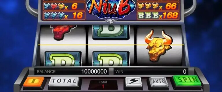 Niu B